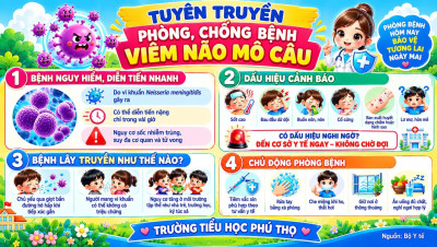TUYÊN TRUYỀN PHÒNG, CHỐNG BỆNH VIÊM NÃO MÔ CẦU