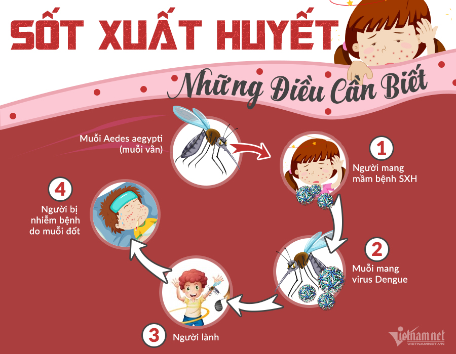 BÀI TUYÊN TRUYỀN PHÒNG, CHỐNG  BỆNH SỐT XUẤT HUYẾT